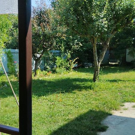 Эльза Hotel Gudauta Eksteriør billede